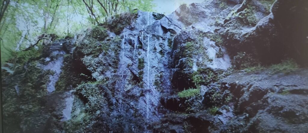 cascada de la salguera