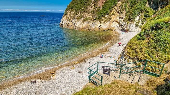 playa saliencia